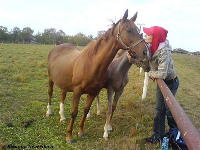 1) Laurena a La Primavera podzim 2006