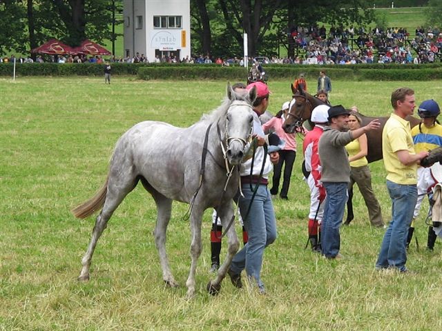 9) Netolice 20.6.2009