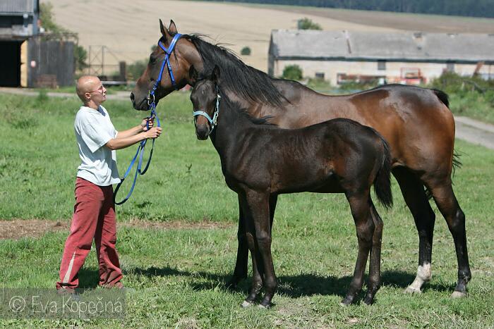 1) Lauriana a Lakar srpen 2010 Leskovec