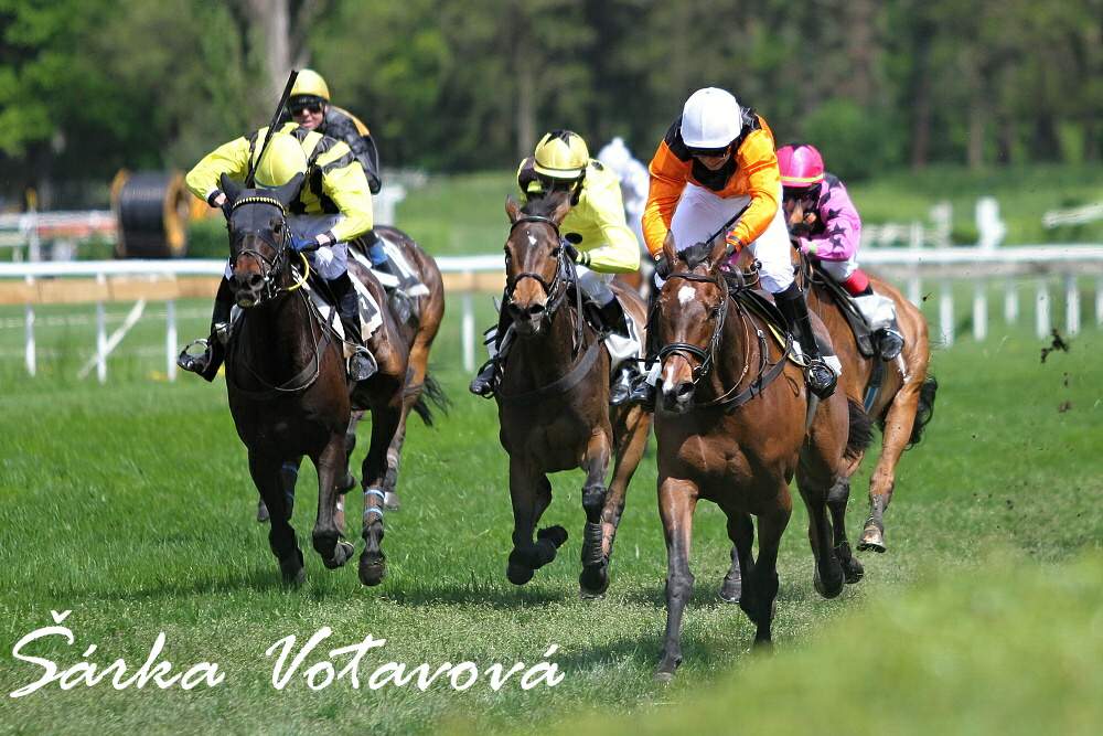 52) Pardubice 8.5.15