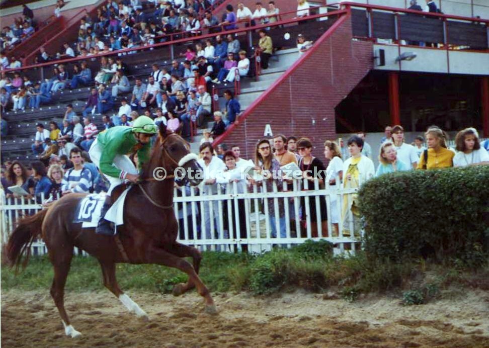 2) Cena Zimní královny Chuchle 1992 (L,2.)