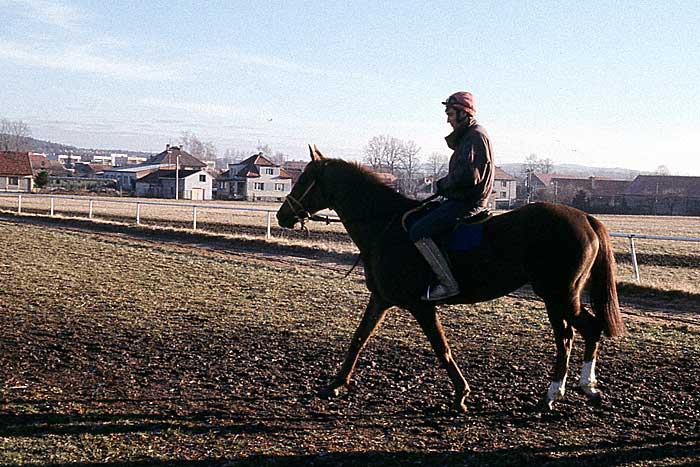 11) Laurena a Ivan Kub Tochovice 1994