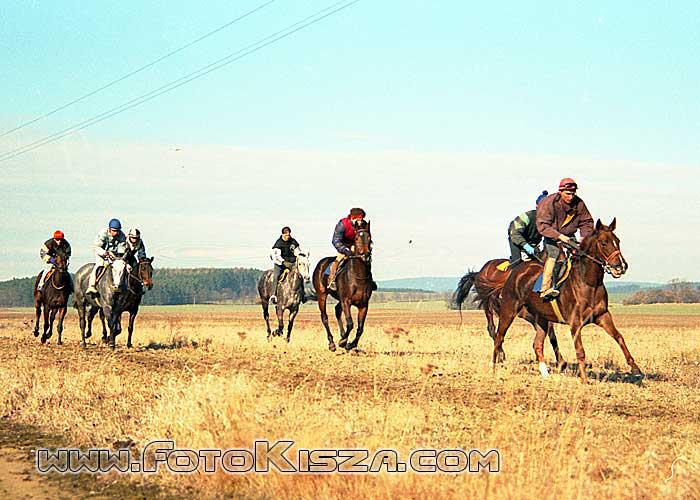 13) Tochovice březen 1995