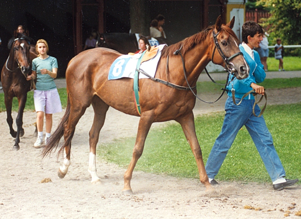 46) Cena Jockey Clubu K.Vary 20.7.1996 (CH,11.)