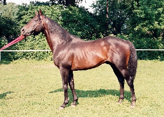 Dara Monarch Jana Filipská