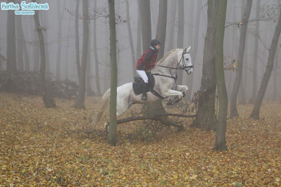 16) Hubert Skržice 2015